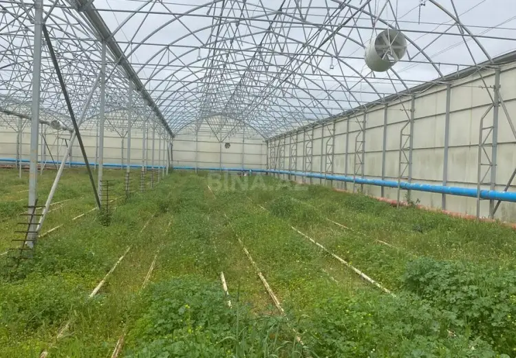 1500 m² Obyekt / Ofis Satılır, Zirə, Xəzər, Bakı