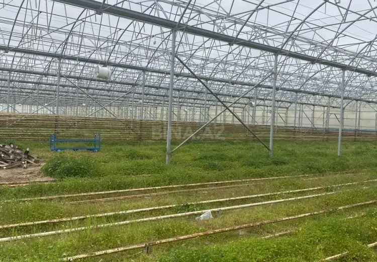 1500 m² Obyekt / Ofis Satılır, Zirə, Xəzər, Bakı