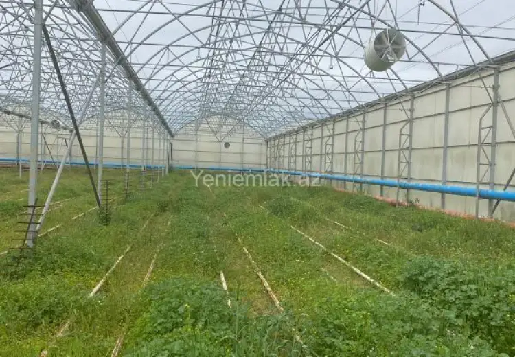 1500 sot Torpaq Satılır, Zirə, Xəzər, Bakı