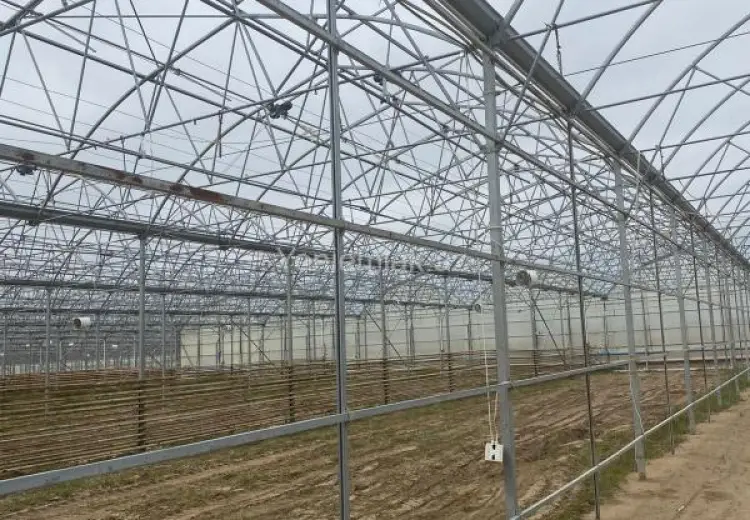 1500 sot Torpaq Satılır, Zirə, Xəzər, Bakı