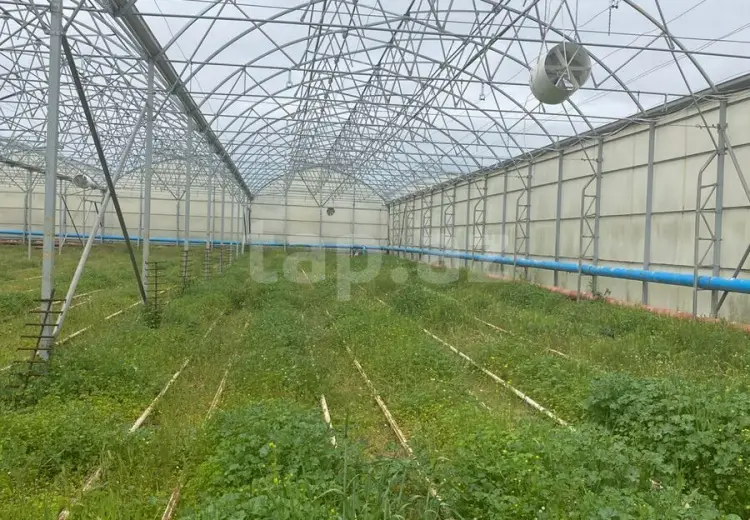 0 m² Obyekt / Ofis , Zirə, Xəzər, Bakı