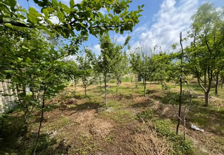 0 m² Obyekt / Ofis , İsmayıllı