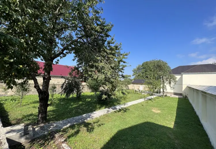 3 otaqlı mənzil Kirayə (günlük), Qəbələ