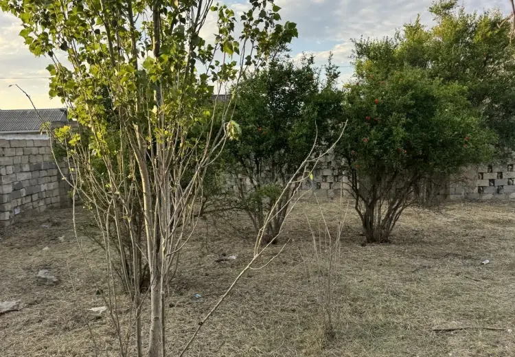 2 sot Torpaq Satılır, Novxanı, Abşeron