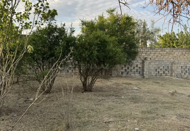 2 sot Torpaq Satılır, Novxanı, Abşeron