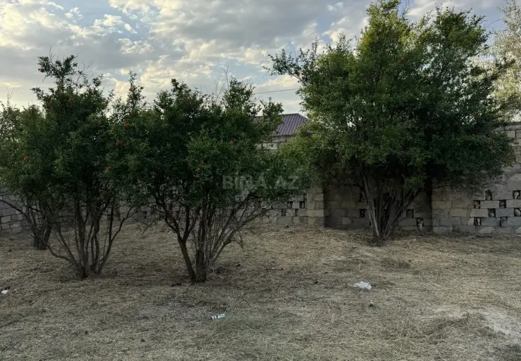 2 sot Torpaq Satılır, Novxanı, Abşeron
