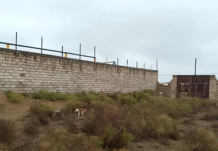 22 sot Torpaq Satılır, Şüvəlan, Xəzər, Bakı