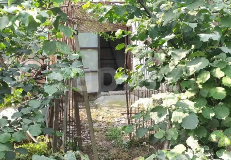 5 otaqlı mənzil , Xaçmaz