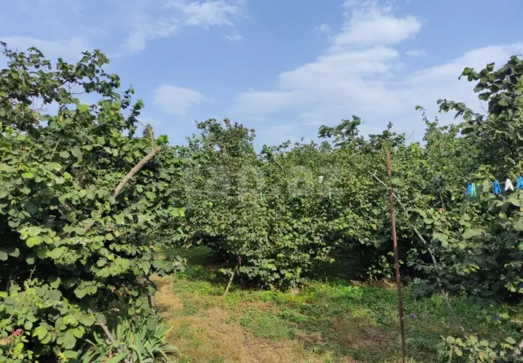 5 otaqlı mənzil , Xaçmaz
