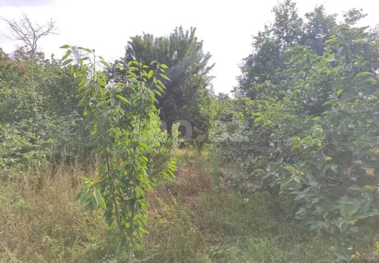 5 otaqlı mənzil , Xaçmaz