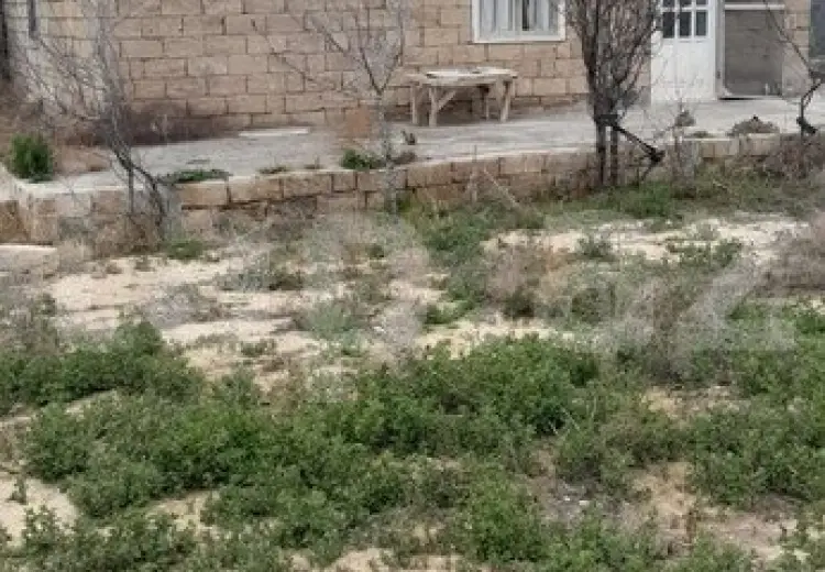 0 m² Obyekt / Ofis , Türkan, Xəzər, Bakı