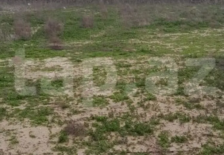 0 m² Obyekt / Ofis , Türkan, Xəzər, Bakı