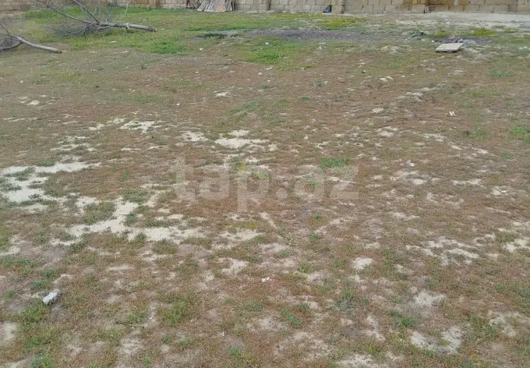 0 m² Obyekt / Ofis , Saray, Abşeron