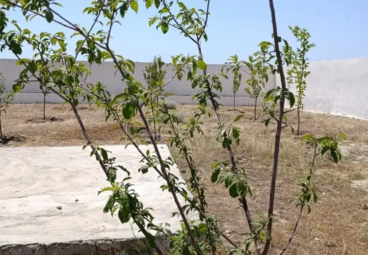 10 sot Torpaq Satılır, Türkan, Xəzər, Bakı