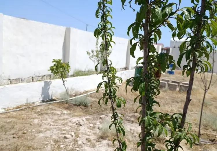10 sot Torpaq Satılır, Türkan, Xəzər, Bakı