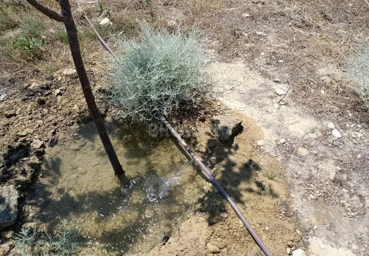 10 sot Torpaq Satılır, Türkan, Xəzər, Bakı