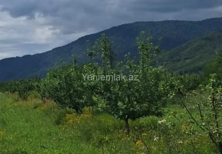 12 sot Torpaq Satılır, Quba
