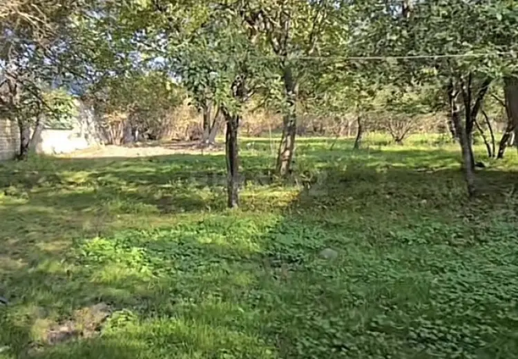 27 sot Torpaq Satılır, Qəbələ