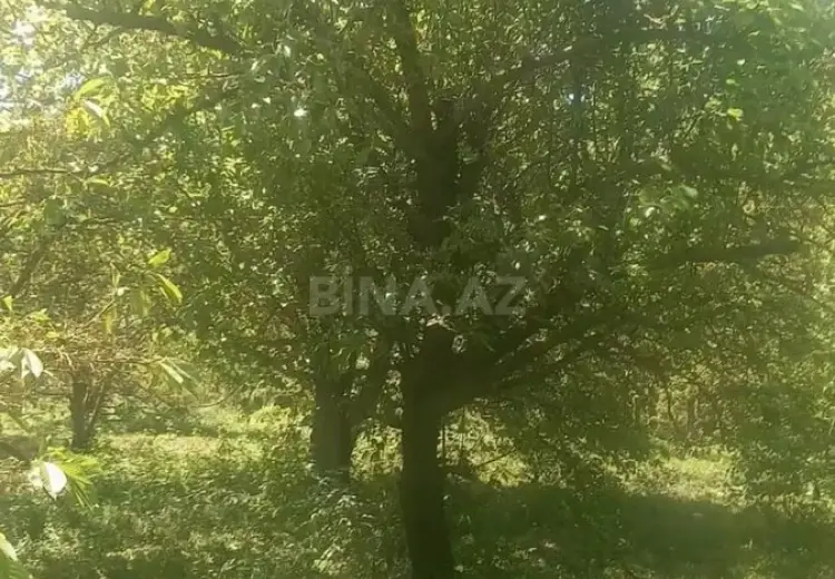 25 sot Torpaq Satılır, Quba