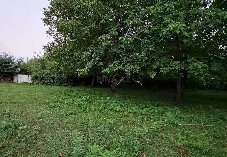 3 sot Torpaq Satılır, Qəbələ