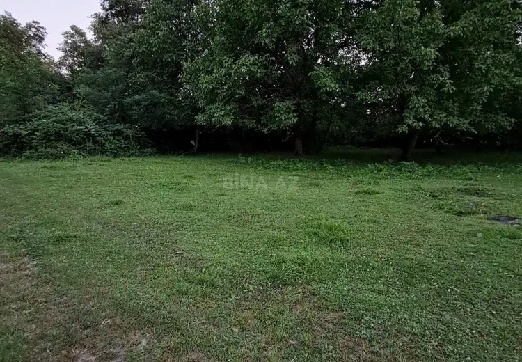 3 sot Torpaq Satılır, Qəbələ