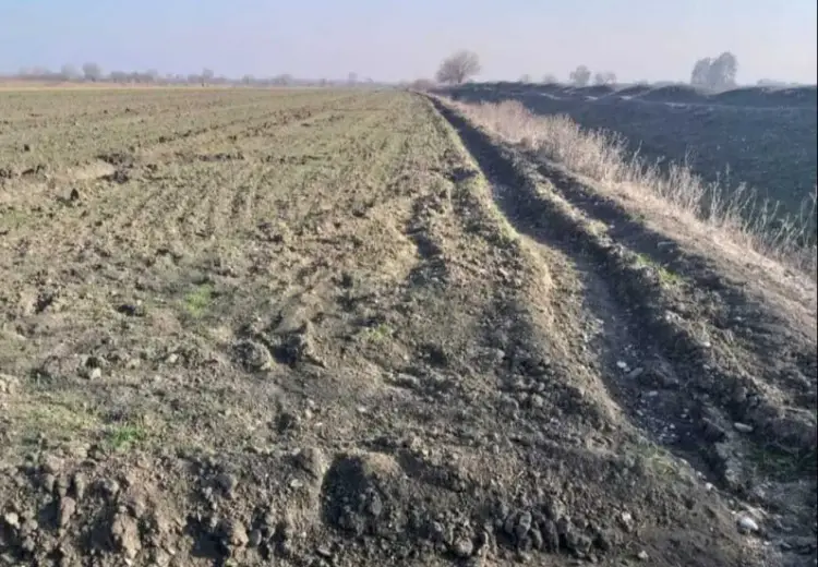 300 sot Torpaq Satılır, Ağcabədi