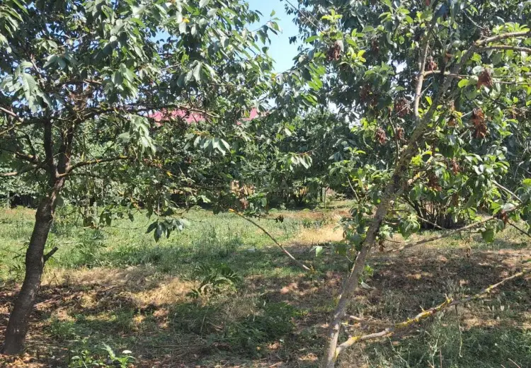3 otaqlı mənzil Satılır, Qusar