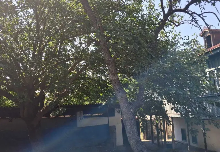 3 otaqlı mənzil Satılır, Qusar