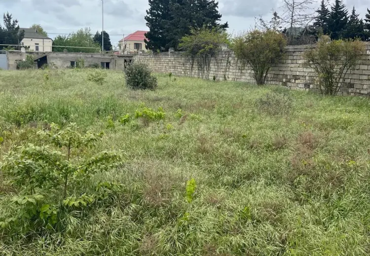 11 sot Torpaq Satılır, Novxanı, Abşeron