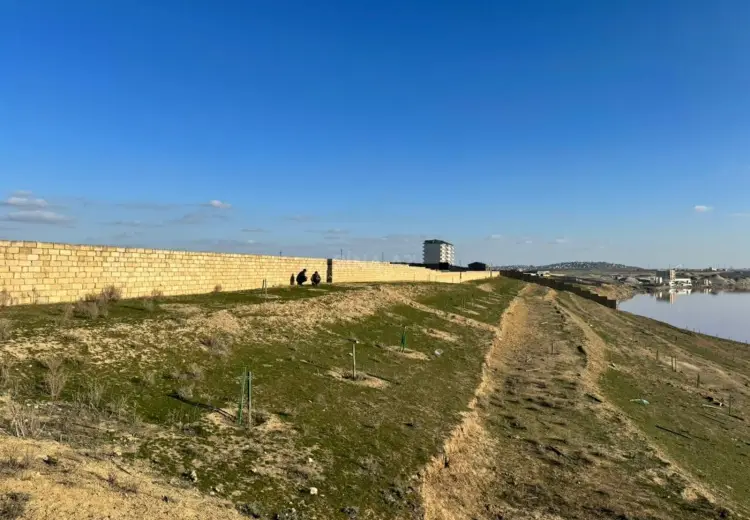 13 sot Torpaq Satılır, Novxanı, Abşeron