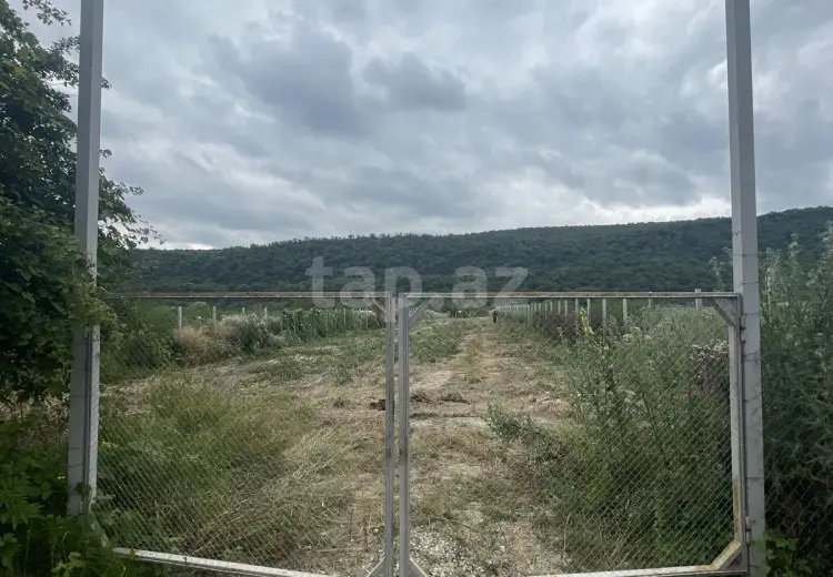 0 m² Obyekt / Ofis , Qusar