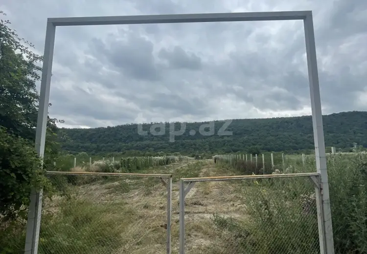 0 m² Obyekt / Ofis , Qusar
