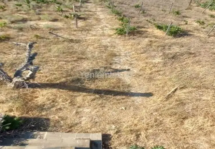 27 sot Torpaq Satılır, Novxanı, Abşeron