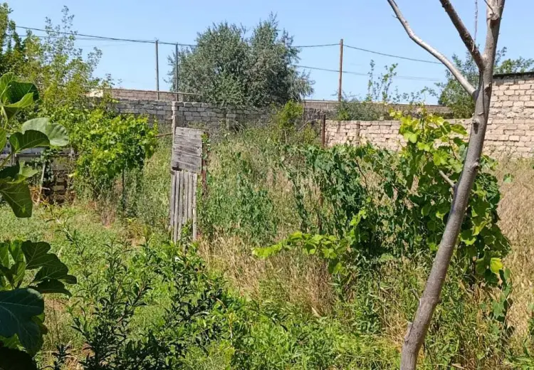 40 sot Torpaq Satılır, Nardaran qəs., Sabunçu, Bakı