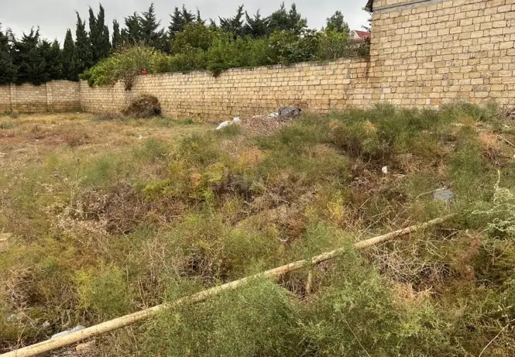 8 sot Torpaq Satılır, Novxanı, Abşeron