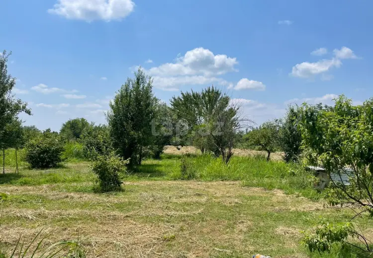 0 m² Obyekt / Ofis , Qəbələ