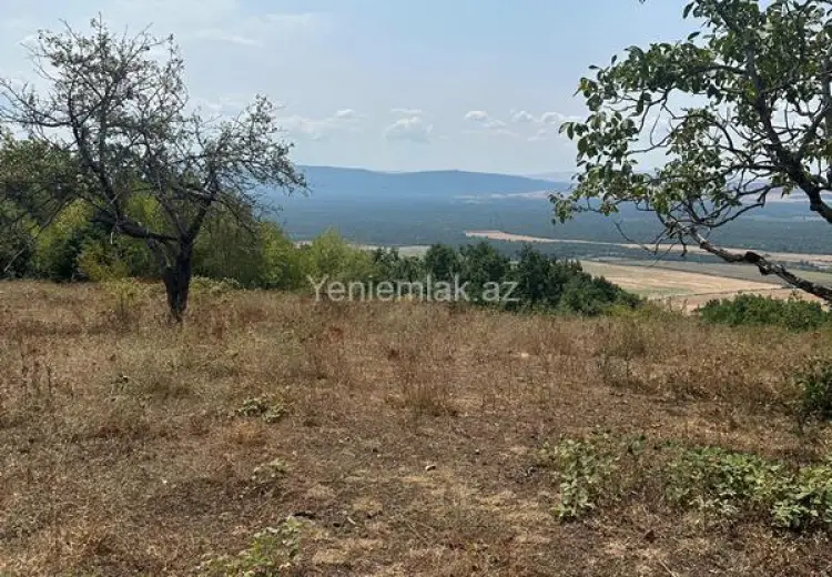 500 sot Torpaq Satılır, Qəbələ