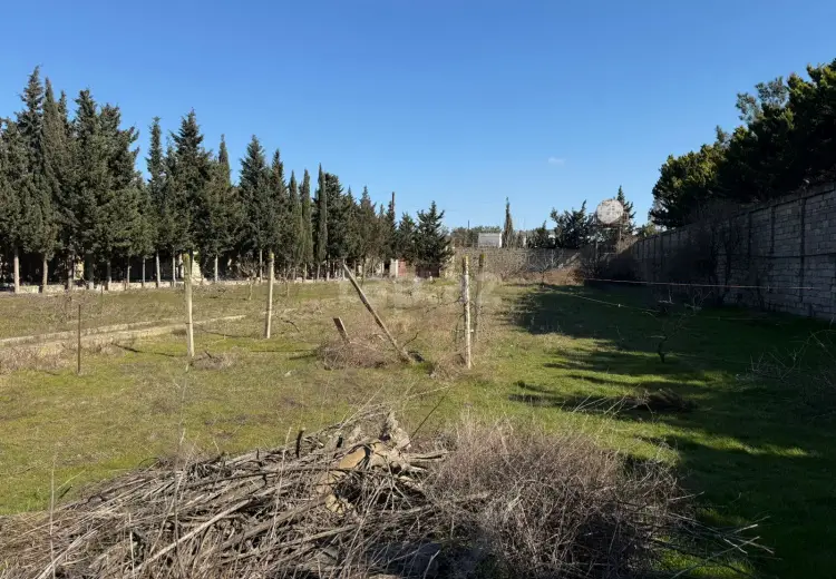 0 m² Obyekt / Ofis , Mərdəkan, Xəzər, Bakı