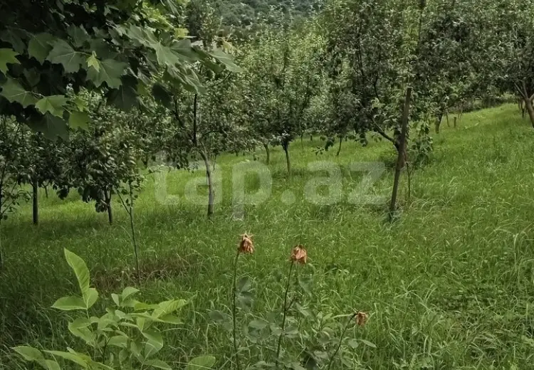 7 otaqlı mənzil , Quba