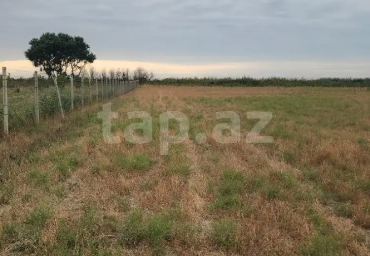 0 m² Obyekt / Ofis , Xaçmaz