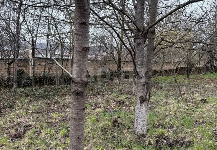 0 m² Obyekt / Ofis , Qusar