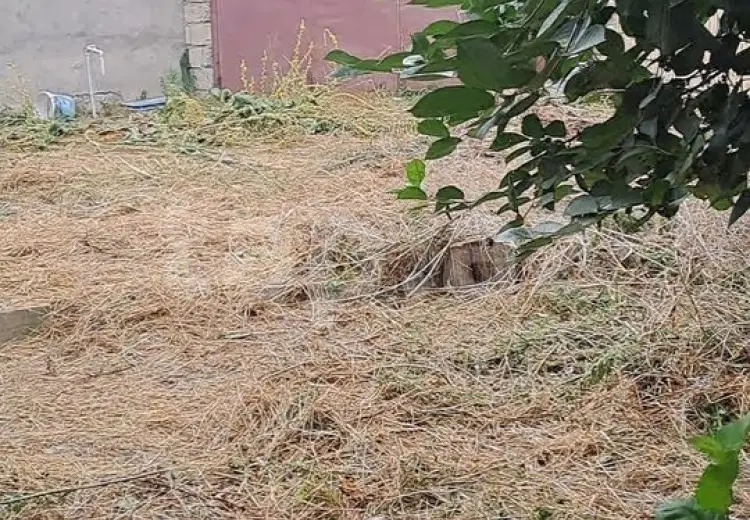 3 otaqlı mənzil , Şəki