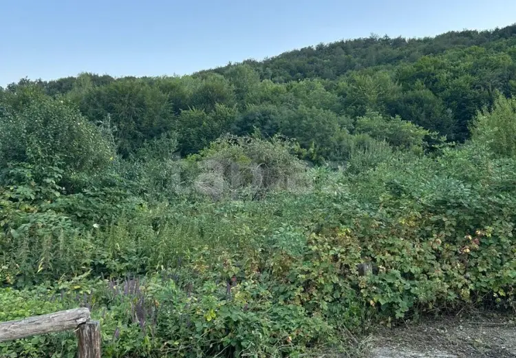 0 m² Obyekt / Ofis , Şabran
