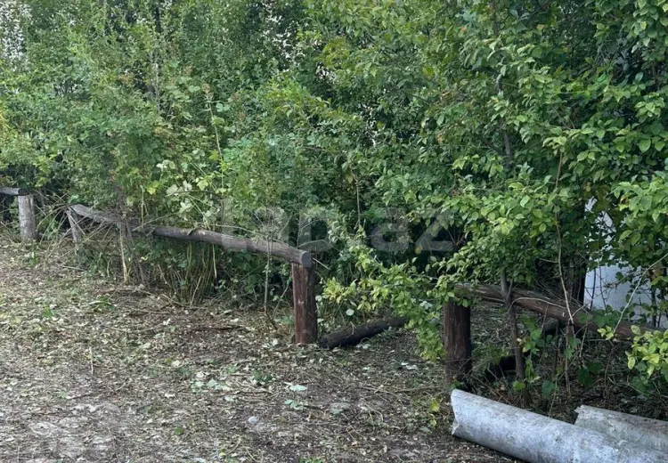 0 m² Obyekt / Ofis , Şabran