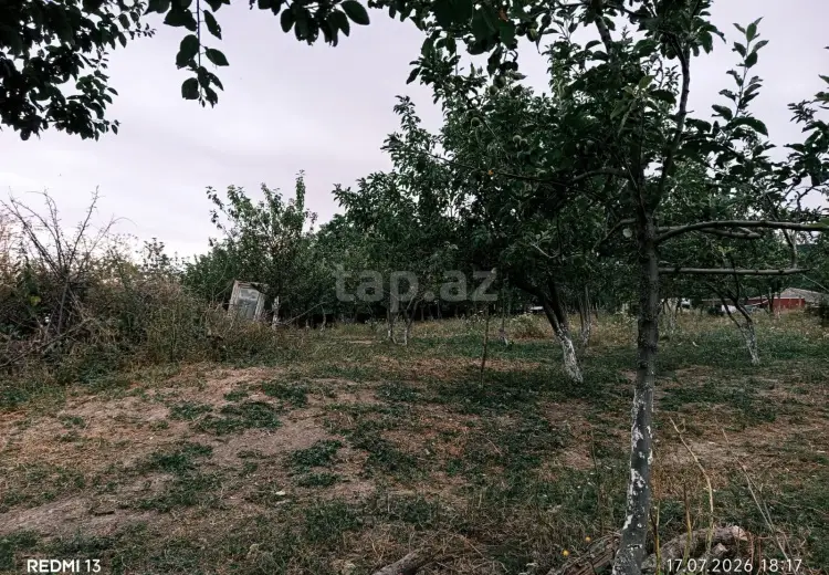 0 m² Obyekt / Ofis , Şamaxı