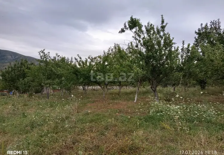 0 m² Obyekt / Ofis , Şamaxı