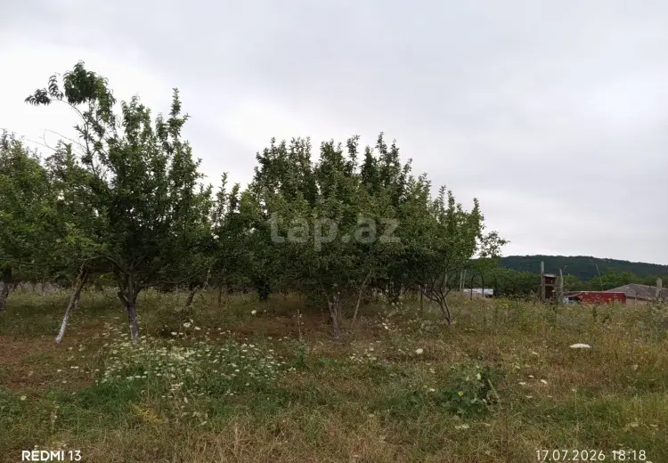 0 m² Obyekt / Ofis , Şamaxı