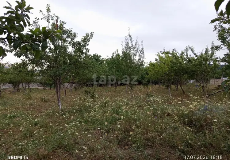 0 m² Obyekt / Ofis , Şamaxı