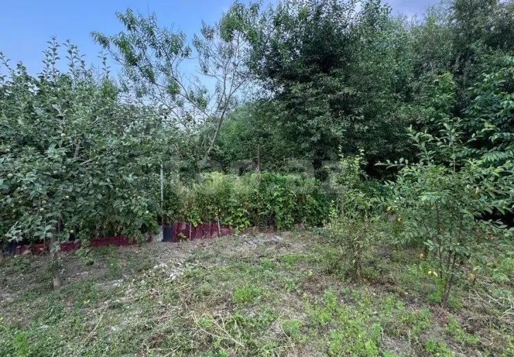 0 m² Obyekt / Ofis , Qusar
