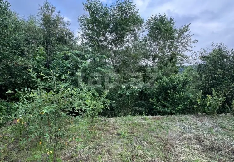 0 m² Obyekt / Ofis , Qusar